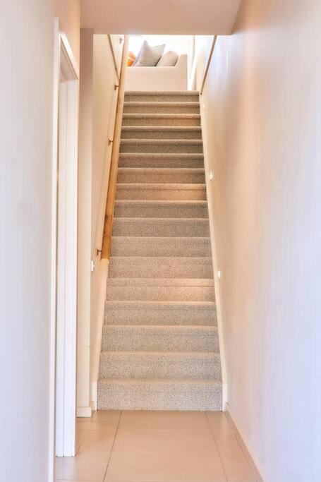 Vine Close Apartment Healesville Dış mekan fotoğraf